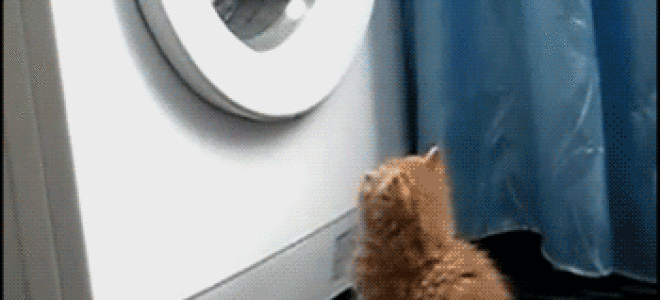 Выбивает автомат или УЗО при включении стиральной машинки. Как найти решение без мультиметра.