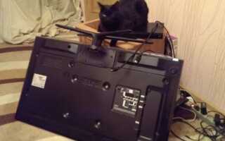 Как повесить телевизор на стену: советы по монтажу и размещению техники