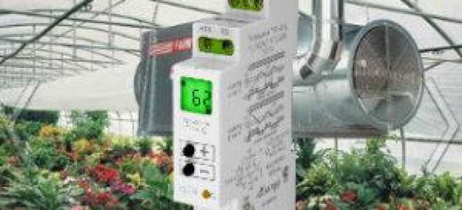 Термореле (модульное реле температуры): установка