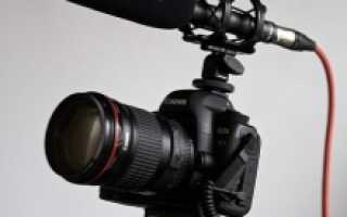Микрофоны для камеры: разновидности и секреты выбора