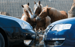 Перевод киловатт в лошадиные силы: сколько ЛС в одном кВт + принципы и способы вычислений