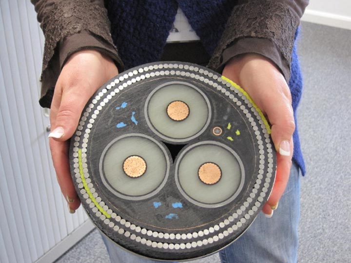 кабель с изоляцией из сшитого полиэтилена в разрезе