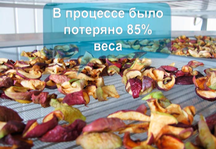 сушка фруктов на инфракрасной пленке